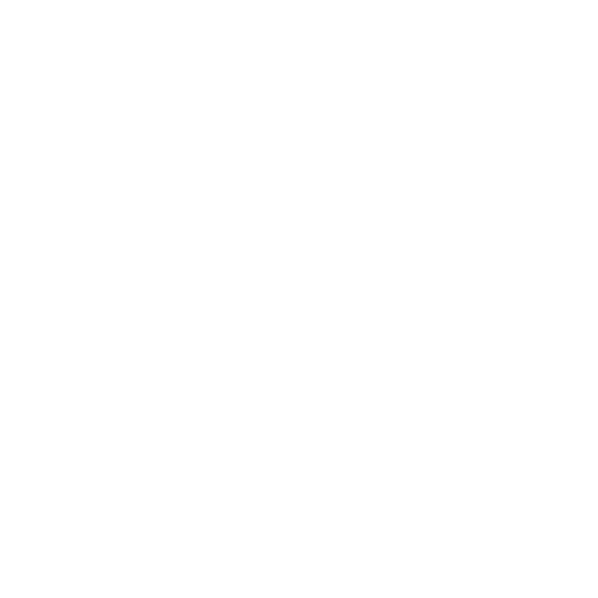 Das Buchheim + Partner Logo in einer weiße Farbe